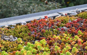 the cost of Tincleton green roof installation