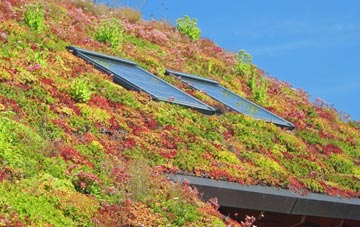 Tincleton living roof systems