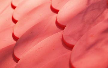 Tincleton plastic roof costs