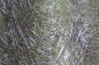 Tincleton fibreglass roof work