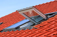 Tincleton roof window